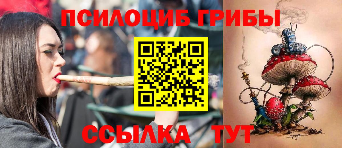 Псилоцибиновые грибы MAGIC MUSHROOMS Астрахань