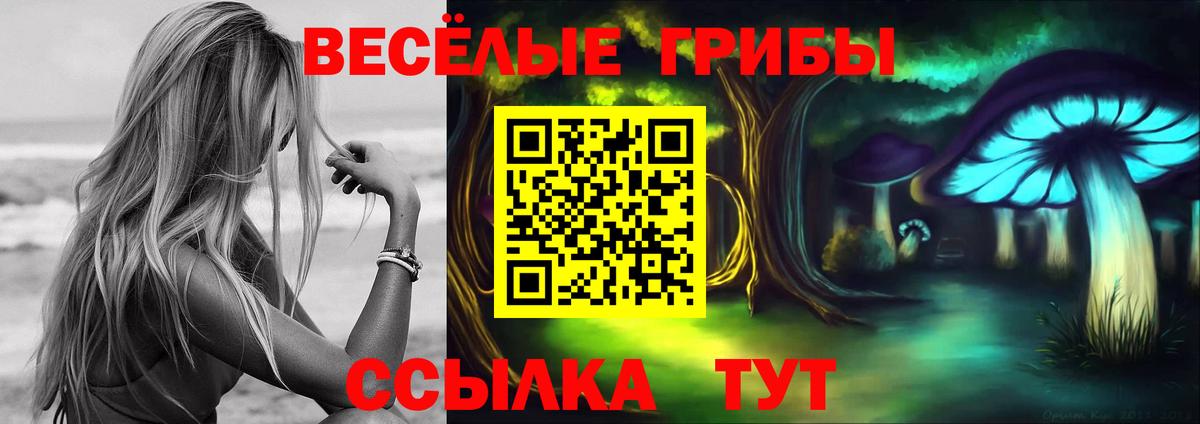 Псилоцибиновые грибы GOLDEN TEACHER  Вход с VPN  Астрахань 